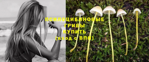 PSILOCYBIN Остров