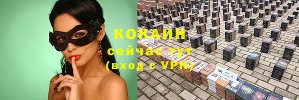 таблы Осинники