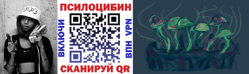 Купить  Бирюсинск  Галлюциногенные грибы MAGIC MUSHROOMS 
